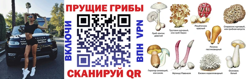 Псилоцибиновые грибы Psilocybine cubensis Белый